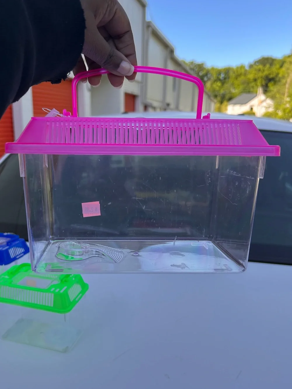All For You Large Critter Keeper Pet Tank Bundle Classroom Dorm Pet Turtle Fish